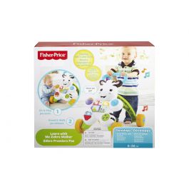 fisher price play and learn
