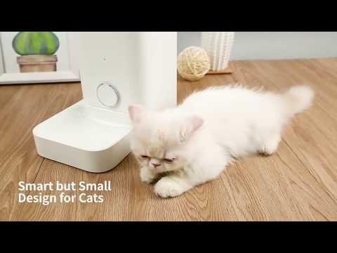 Petkit Fresh Element Mini Smart Pet Feeder 1 Pc
